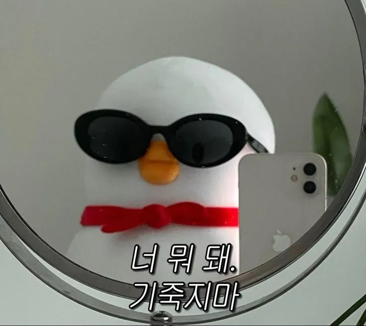 이미지 설명